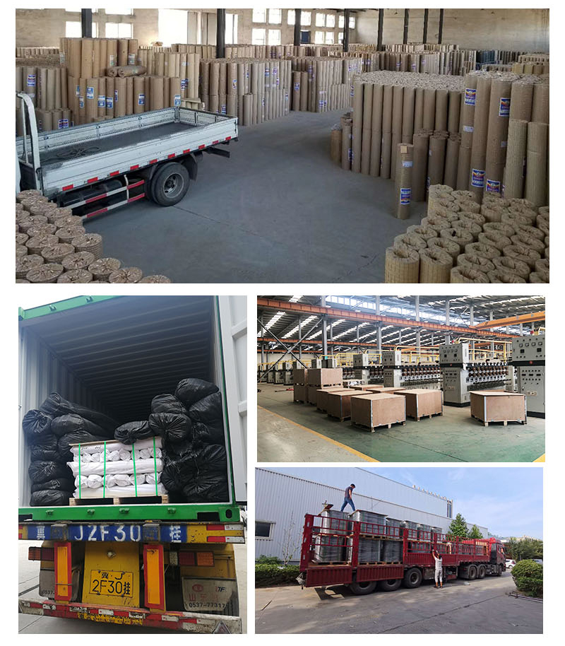 不銹鋼網(wǎng)(圖6) 不銹鋼網(wǎng)(圖6)